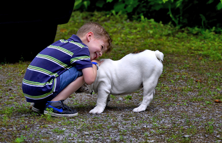 Livsberattelse Johan FAS Po