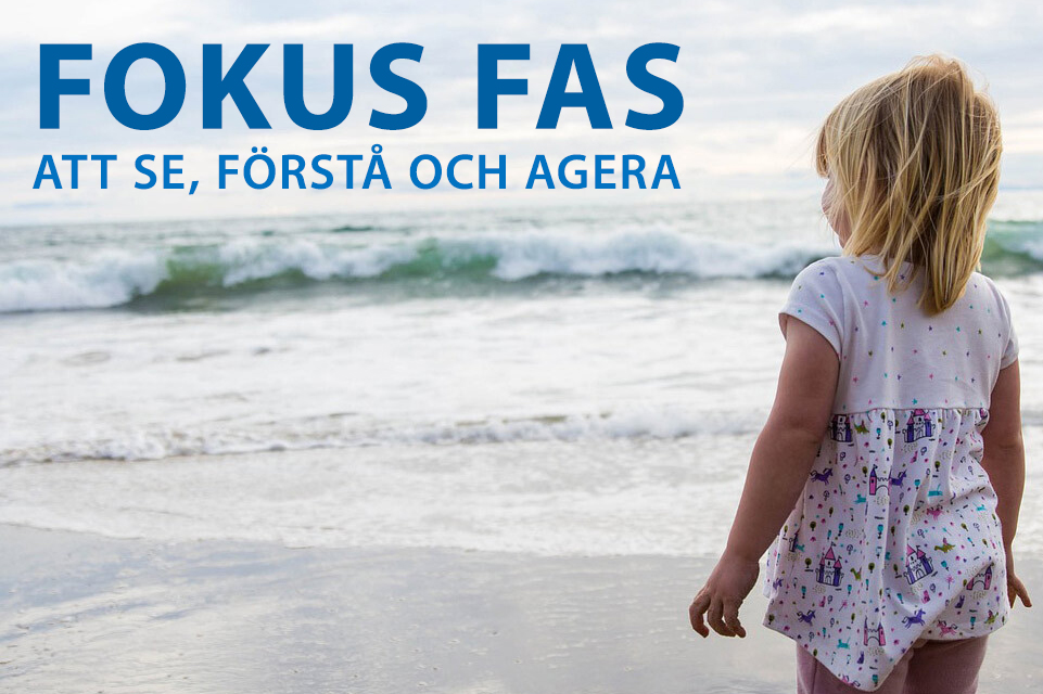 FOKUS FAS Att Se Förstå Och Agera